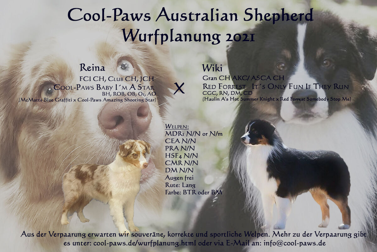 Welpentagebuch Cool Paws
