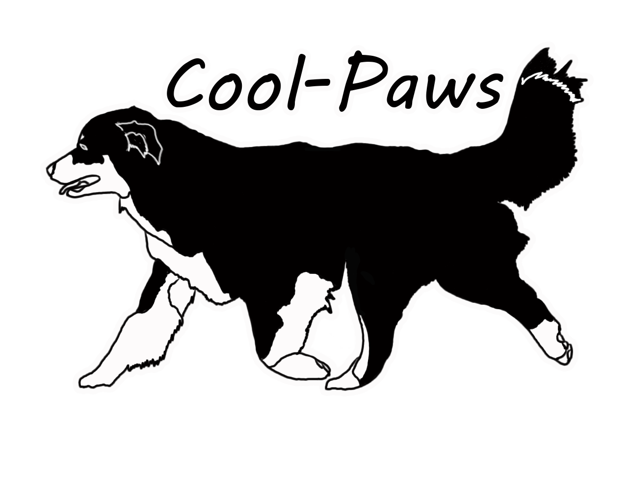 cool-paws logo